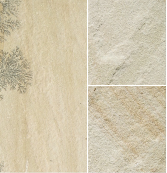 Fossil mint